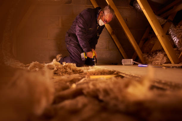Best Insulation Materials and Products in Canterwood, WA